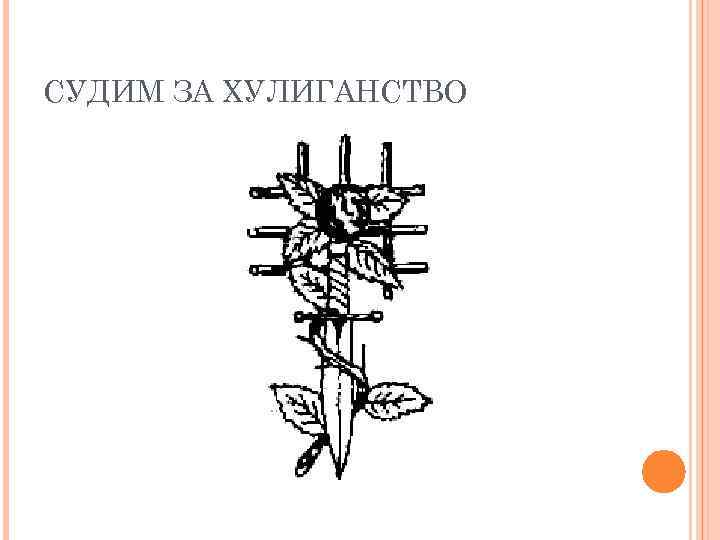 СУДИМ ЗА ХУЛИГАНСТВО 