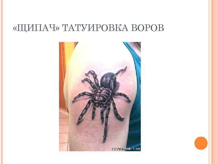  «ЩИПАЧ» ТАТУИРОВКА ВОРОВ 