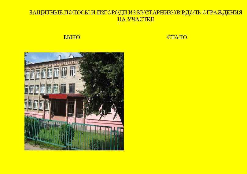 ЗАЩИТНЫЕ ПОЛОСЫ И ИЗГОРОДИ ИЗ КУСТАРНИКОВ ВДОЛЬ ОГРАЖДЕНИЯ НА УЧАСТКЕ БЫЛО СТАЛО 