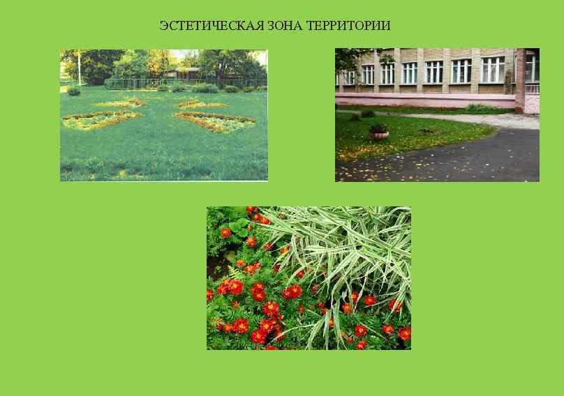 ЭСТЕТИЧЕСКАЯ ЗОНА ТЕРРИТОРИИ 