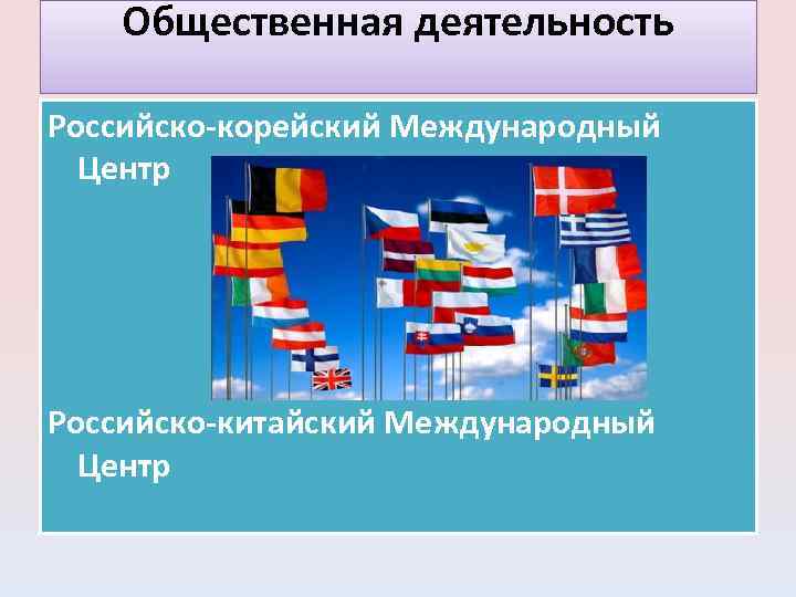 Общественная деятельность Российско-корейский Международный Центр Российско-китайский Международный Центр 