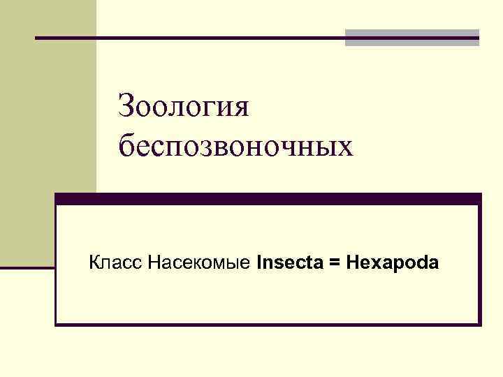 Зоология беспозвоночных Класс Насекомые Insecta = Hexapoda 