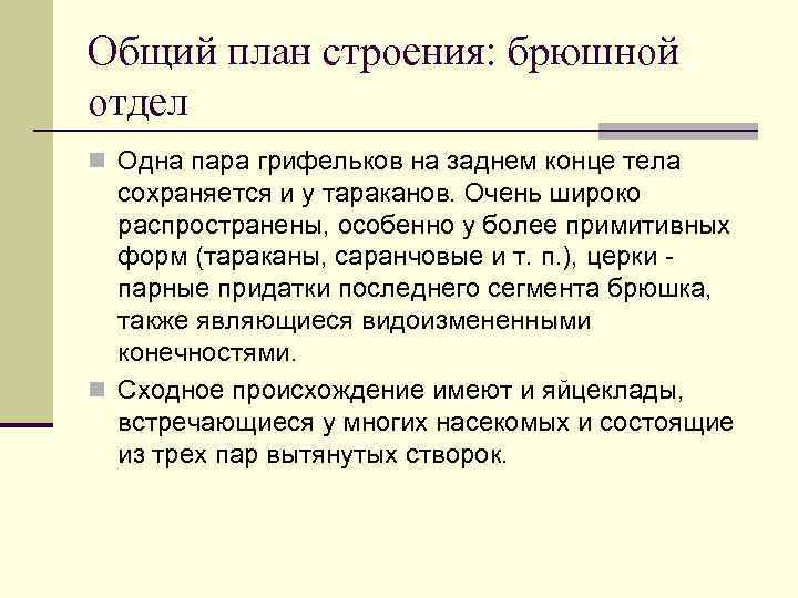 Общий план строения: брюшной отдел n Одна пара грифельков на заднем конце тела сохраняется