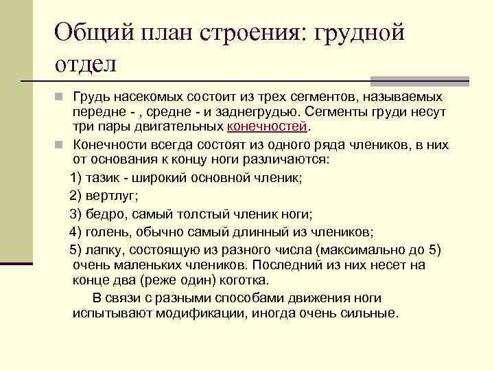 Общий план строения: грудной отдел n Грудь насекомых состоит из трех сегментов, называемых передне