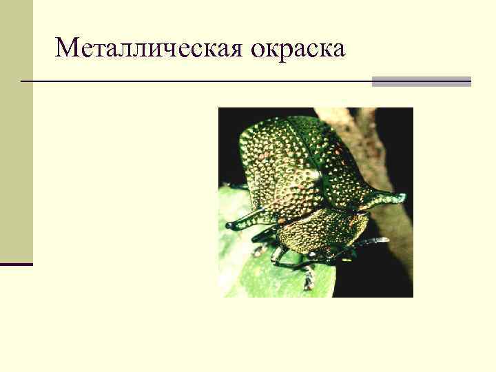 Металлическая окраска 