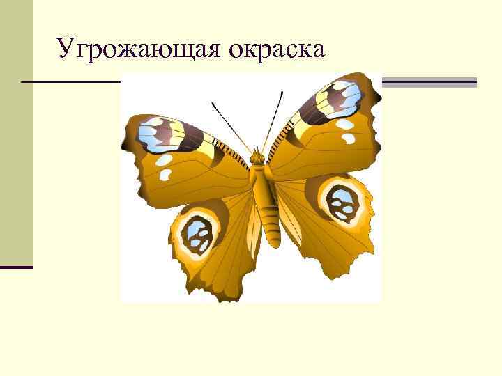 Угрожающая окраска 