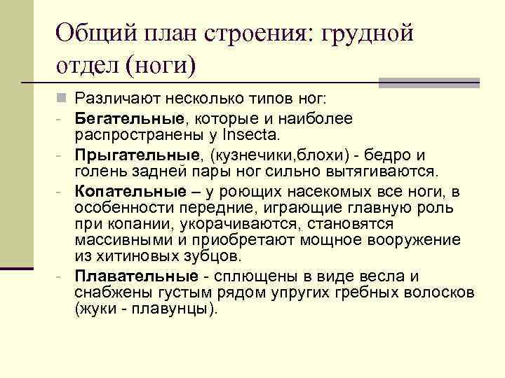 Общий план строения: грудной отдел (ноги) n Различают несколько типов ног: - Бегательные, которые