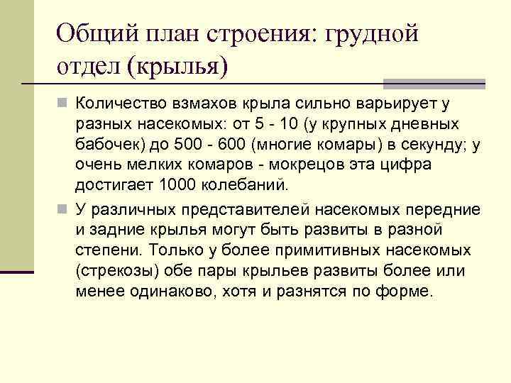 Общий план строения: грудной отдел (крылья) n Количество взмахов крыла сильно варьирует у разных