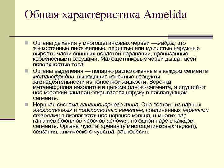 Общая характеристика Annelida n Органы дыхания у многощетинковых червей —жабры; это тонкостенные листовидные, перистые