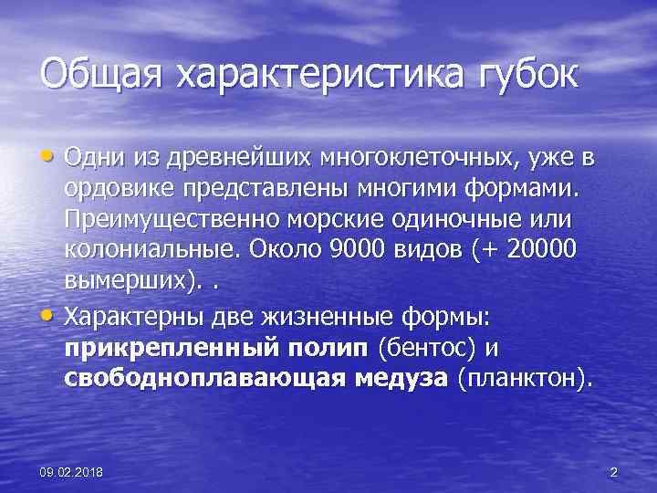 Общая характеристика губок • Одни из древнейших многоклеточных, уже в • ордовике представлены многими