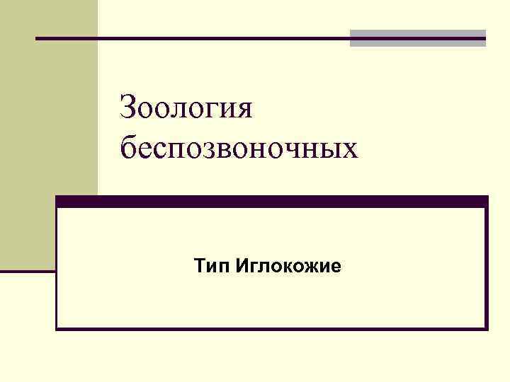 Зоология беспозвоночных Тип Иглокожие 