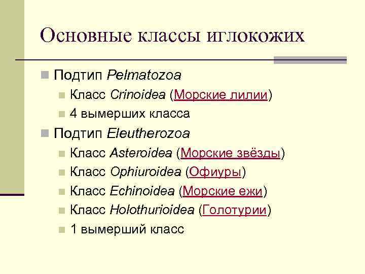 Основные классы иглокожих n Подтип Pelmatozoa n Класс Crinoidea (Морские лилии) n 4 вымерших
