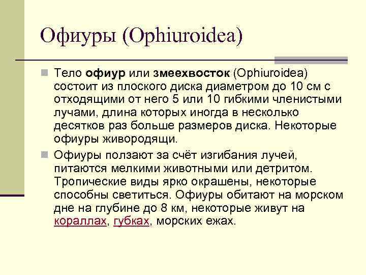 Офиуры (Ophiuroidea) n Тело офиур или змеехвосток (Ophiuroidea) состоит из плоского диска диаметром до