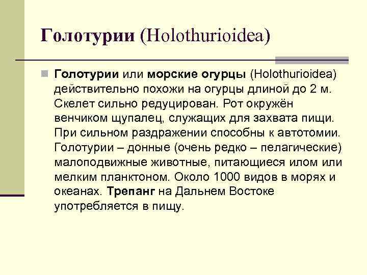 Голотурии (Holothurioidea) n Голотурии или морские огурцы (Holothurioidea) действительно похожи на огурцы длиной до