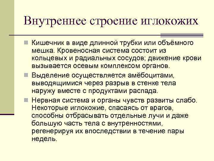 Внутреннее строение иглокожих n Кишечник в виде длинной трубки или объёмного мешка. Кровеносная система