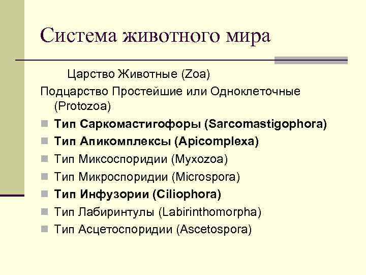 Система животного мира Царство Животные (Zoa) Подцарство Простейшие или Одноклеточные (Protozoa) n Тип Саркомастигофоры