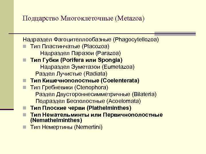 Подцарство Многоклеточные (Metazoa) Надраздел Фагоцителлообазные (Phagocytellozoa) n Тип Пластинчатые (Placozoa) Надраздел Паразои (Parazoa) n