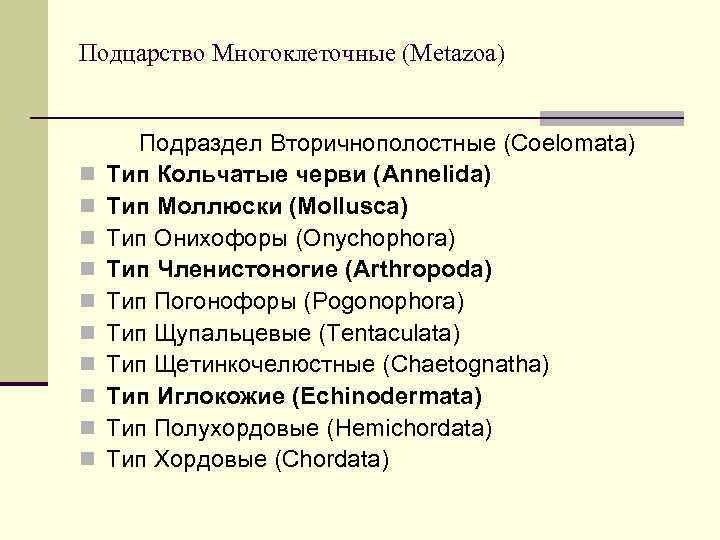 Подцарство Многоклеточные (Metazoa) n n n n n Подраздел Вторичнополостные (Coelomata) Тип Кольчатые черви