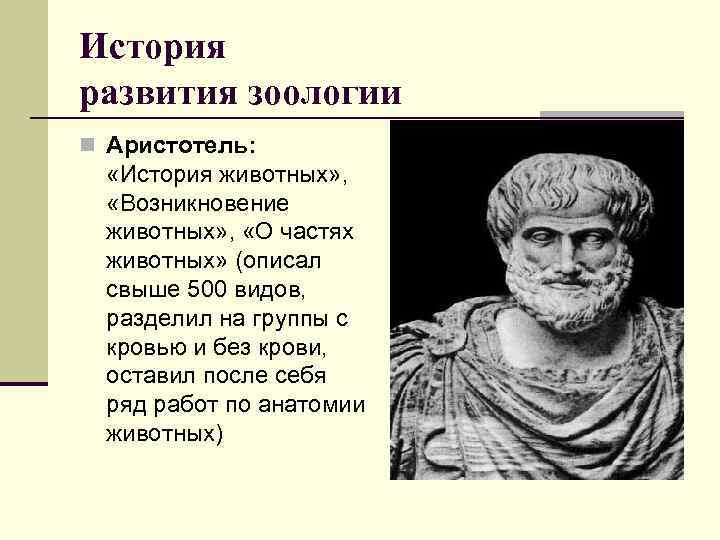 Автор трактата. Аристотель вклад в анатомию. История животных Аристотель. Трактат Аристотеля история животных. Аристотель о животных.