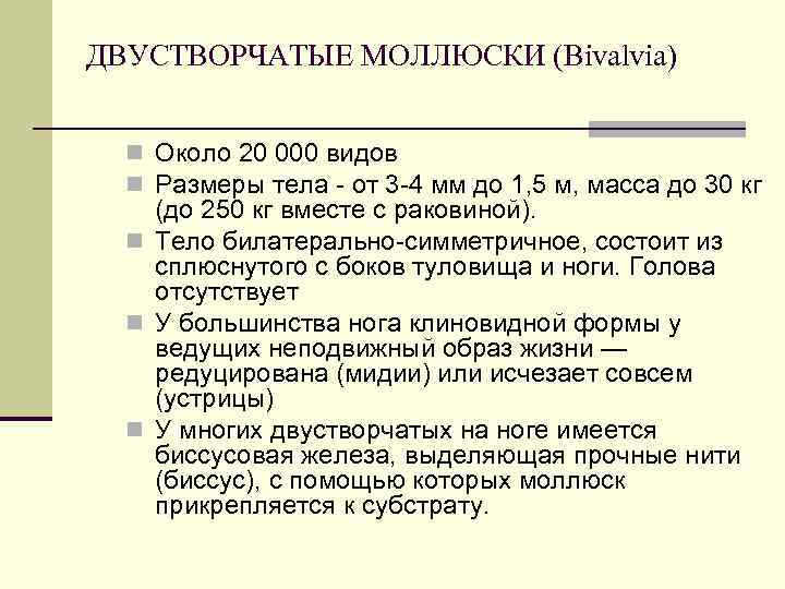 ДВУСТВОРЧАТЫЕ МОЛЛЮСКИ (Bivalvia) n Около 20 000 видов n Размеры тела - от 3