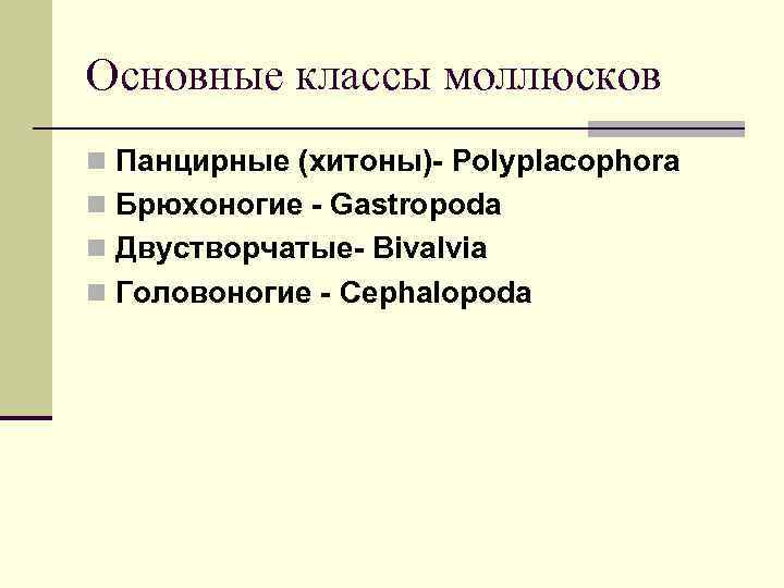 Основные классы моллюсков n Панцирные (хитоны)- Polyplacophora n Брюхоногие - Gastropoda n Двустворчатые- Bivalvia