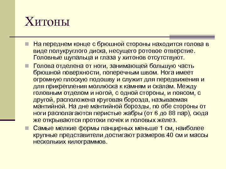 Хитоны n На переднем конце с брюшной стороны находится голова в виде полукруглого диска,