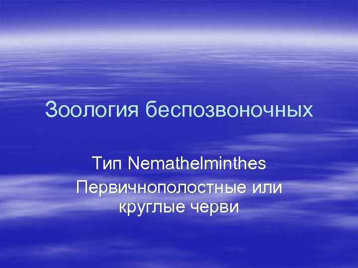 Зоология беспозвоночных Тип Nemathelminthes Первичнополостные или круглые черви 