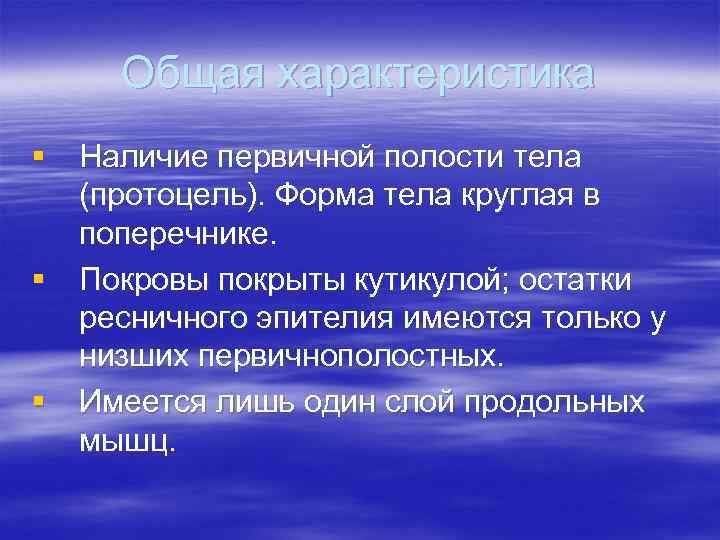 Общая характеристика § Наличие первичной полости тела (протоцель). Форма тела круглая в поперечнике. §