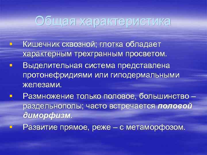 Общая характеристика § § Кишечник сквозной; глотка обладает характерным трехгранным просветом. Выделительная система представлена