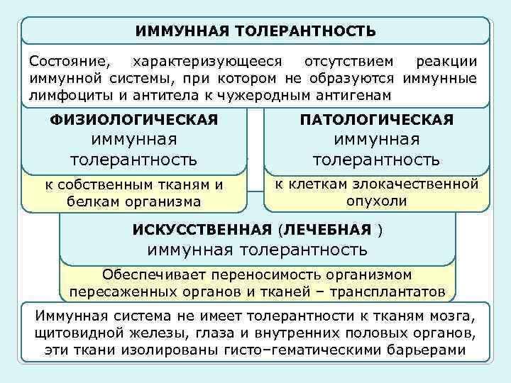 ИММУННАЯ ТОЛЕРАНТНОСТЬ Состояние, характеризующееся отсутствием реакции иммунной системы, при котором не образуются иммунные лимфоциты