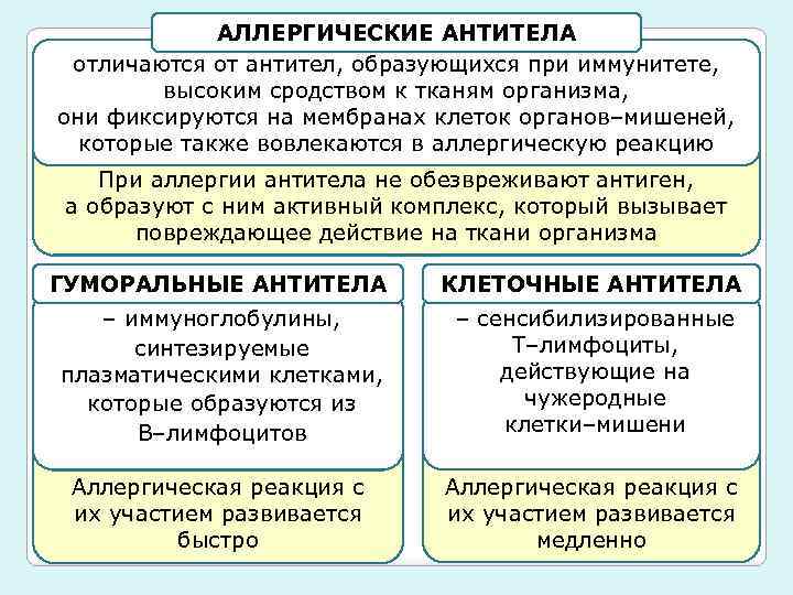 АЛЛЕРГИЧЕСКИЕ АНТИТЕЛА отличаются от антител, образующихся при иммунитете, высоким сродством к тканям организма, они