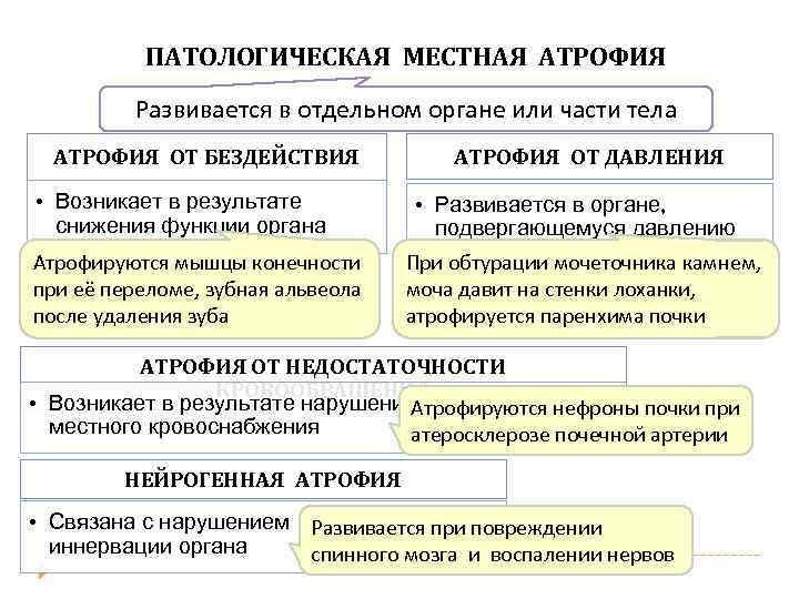 ПАТОЛОГИЧЕСКАЯ МЕСТНАЯ АТРОФИЯ Развивается в отдельном органе или части тела АТРОФИЯ ОТ БЕЗДЕЙСТВИЯ •