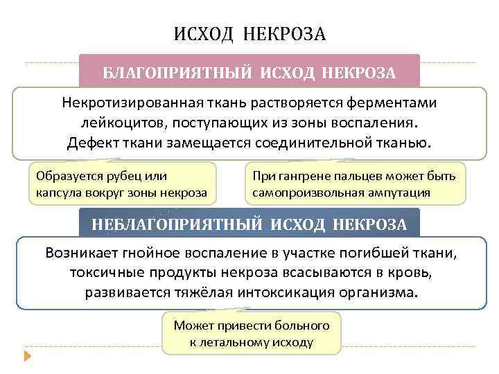 ИСХОД НЕКРОЗА БЛАГОПРИЯТНЫЙ ИСХОД НЕКРОЗА Некротизированная ткань растворяется ферментами лейкоцитов, поступающих из зоны воспаления.