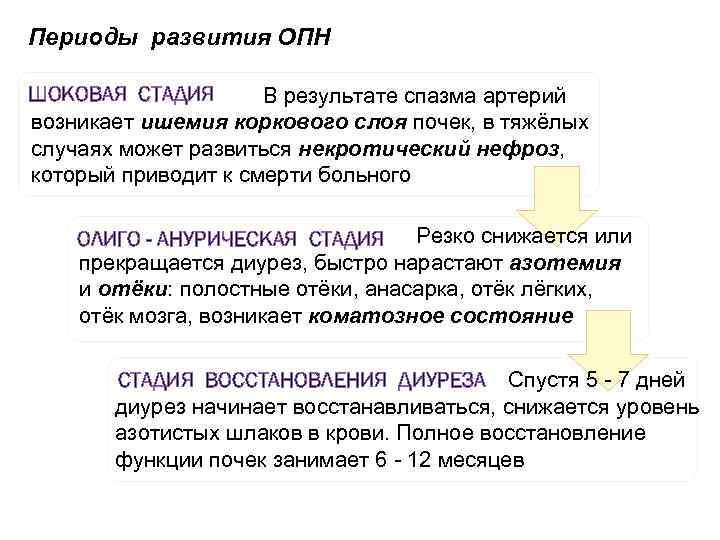 Периоды развития ОПН ШОКОВАЯ СТАДИЯ В результате спазма артерий возникает ишемия коркового слоя почек,