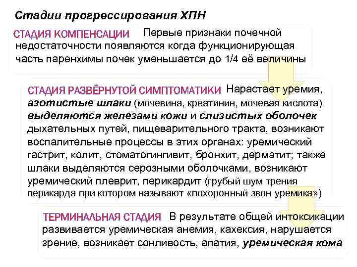 Стадии прогрессирования ХПН СТАДИЯ КОМПЕНСАЦИИ Первые признаки почечной недостаточности появляются когда функционирующая часть паренхимы