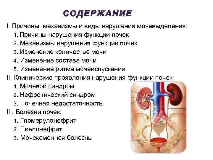 СОДЕРЖАНИЕ I. Причины, механизмы и виды нарушения мочевыделения: 1. Причины нарушения функции почек 2.