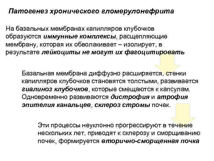 Патогенез хронического гломерулонефрита На базальных мембранах капилляров клубочков образуются иммунные комплексы, расщепляющие мембрану, которая