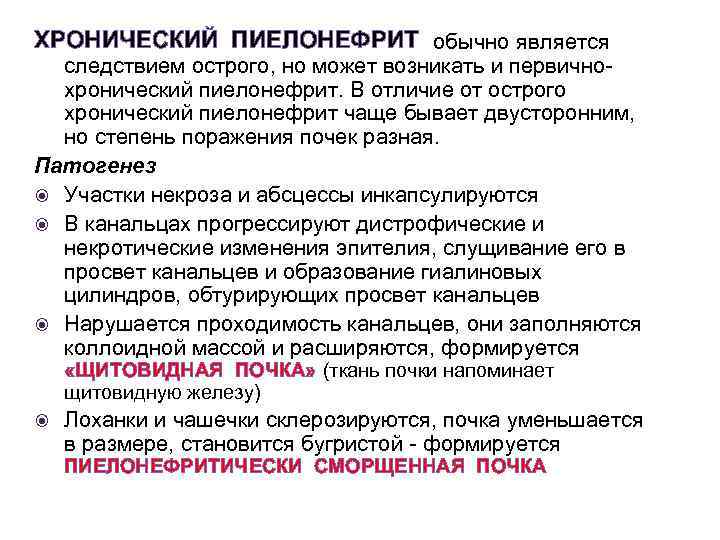 ХРОНИЧЕСКИЙ ПИЕЛОНЕФРИТ обычно является следствием острого, но может возникать и первичнохронический пиелонефрит. В отличие