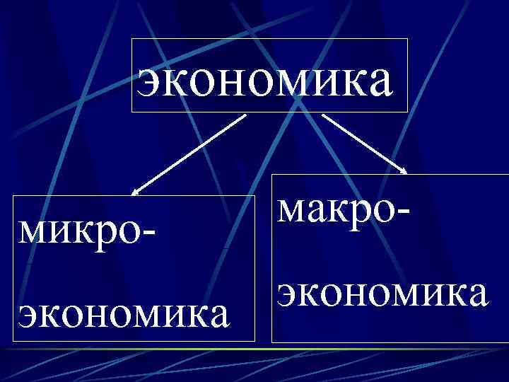 экономика микро- макро- экономика 