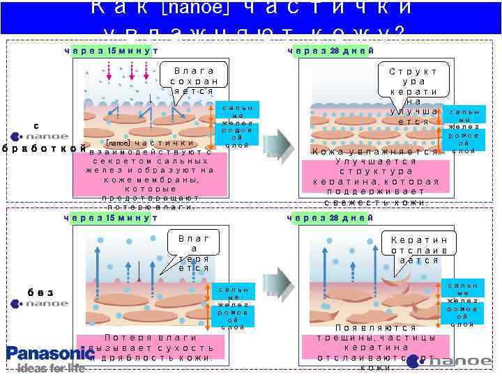 Как [nanoe] частички увлажняют кожу? через 15 минут через 28 дней Влага сохран яется