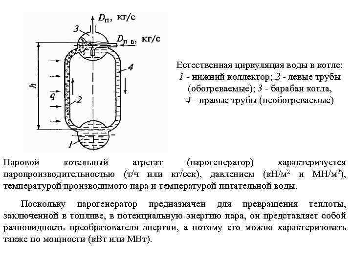 Естественная циркуляция воды в котле: 1 нижний коллектор; 2 - левые трубы (обогреваемые); 3