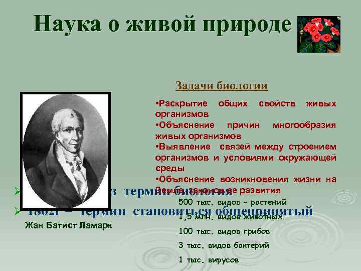 Причины разнообразия организмов. Причины многообразия видов. Задачи общей биологии. Причины многообразия видов в природе. Причины разнообразия видов в природе.