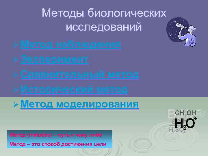 Методы биологических исследований Ø Метод наблюдения Ø Эксперимент Ø Сравнительный метод Ø Исторический метод
