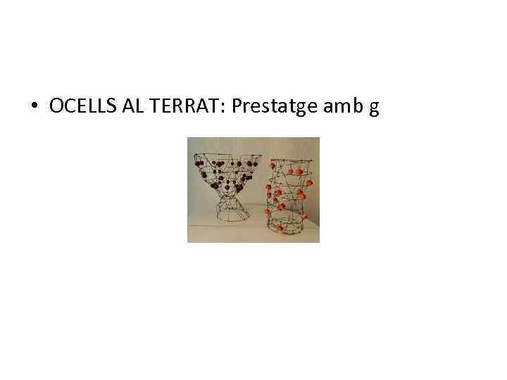  • OCELLS AL TERRAT: Prestatge amb g 