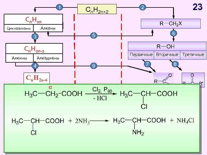 1 Cn H Cn. H 2 n 2 n Циклоалканы Cn. H 2 n+2