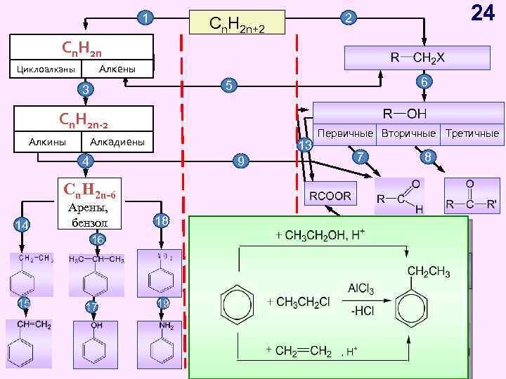 1 Cn H Cn. H 2 n 2 n Циклоалканы 24 2 Cn. H