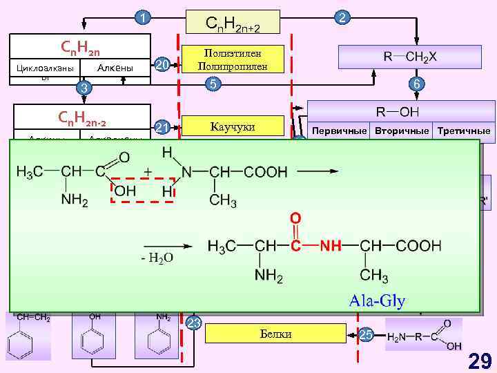 1 Cn. H 2 n Циклоалканы ы Алкены 20 Полиэтилен Полипропилен 5 3 Cn.