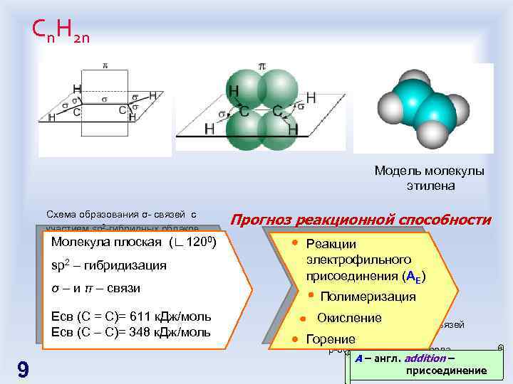 Сn. H 2 n Модель молекулы этилена Схема образования σ- связей с участием sp