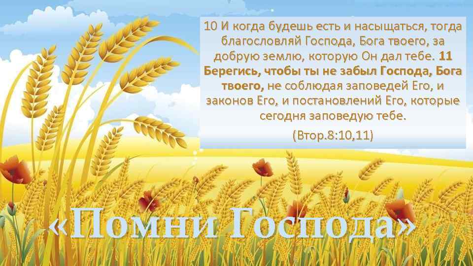 10 И когда будешь есть и насыщаться, тогда благословляй Господа, Бога твоего, за добрую