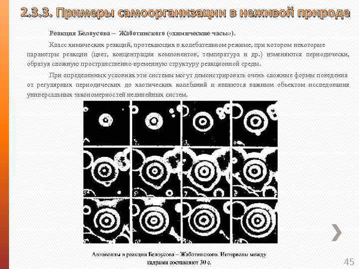  2. 3. 3. Примеры самоорганизации в неживой природе Реакция Белоусова – Жаботинского (